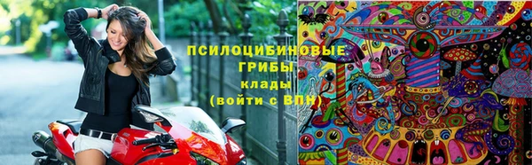 шишки Абдулино
